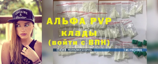 ПСИЛОЦИБИНОВЫЕ ГРИБЫ Горняк