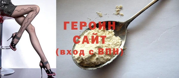 гидра Гусиноозёрск
