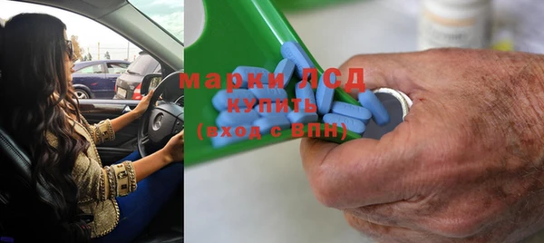 индика Магас