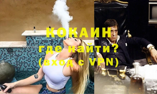 ПСИЛОЦИБИНОВЫЕ ГРИБЫ Горняк