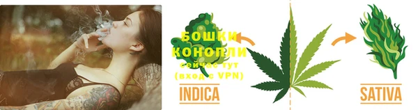 ПСИЛОЦИБИНОВЫЕ ГРИБЫ Горняк