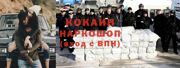 ПСИЛОЦИБИНОВЫЕ ГРИБЫ Горняк