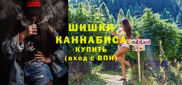 ПСИЛОЦИБИНОВЫЕ ГРИБЫ Горняк