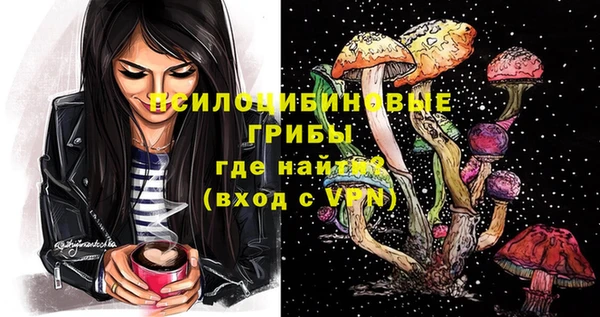 гидра Гусиноозёрск