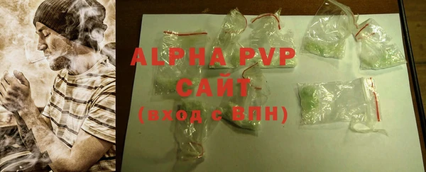 ПСИЛОЦИБИНОВЫЕ ГРИБЫ Горняк