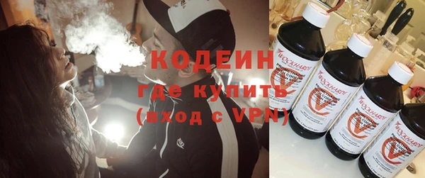 ПСИЛОЦИБИНОВЫЕ ГРИБЫ Горняк