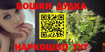 индика Канаш
