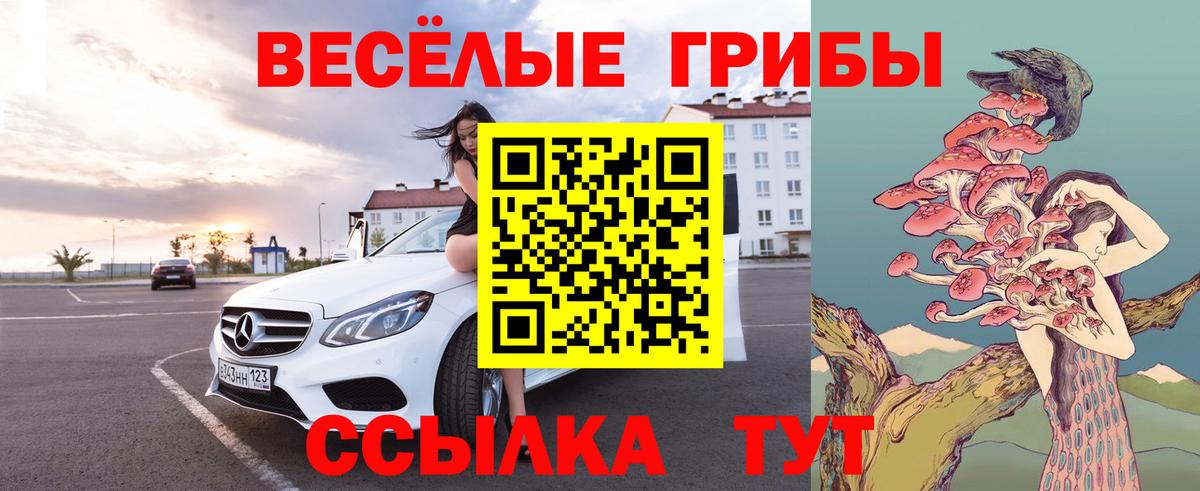 Дивногорск  Псилоцибиновые грибы мухоморы  Вход с VPN 