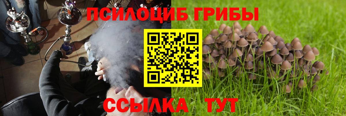 Псилоцибиновые грибы ЛСД Дивногорск